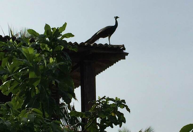 膳宿费 Lanka Eco Village