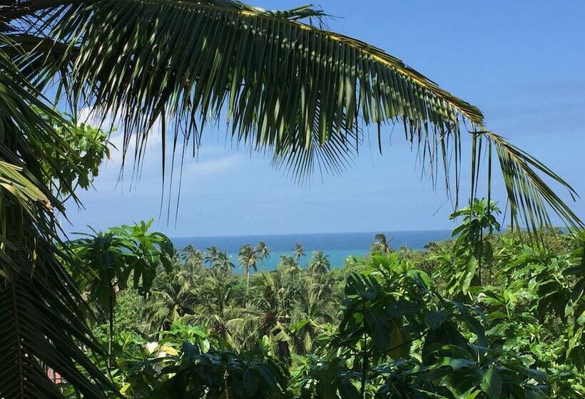 膳宿费 Lanka Eco Village