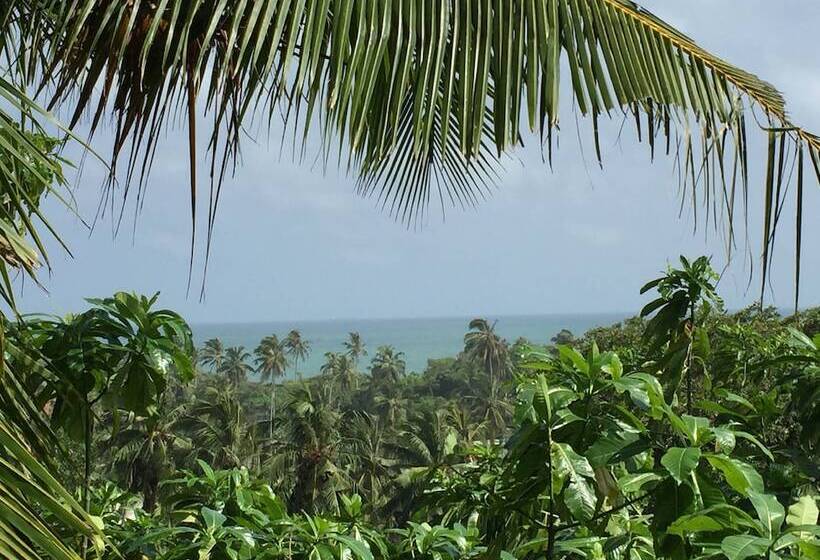 膳宿费 Lanka Eco Village