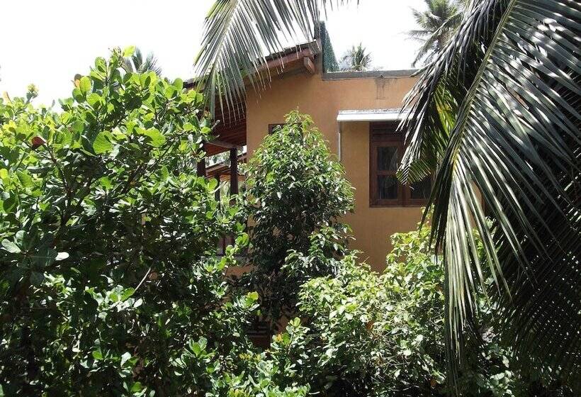 膳宿费 Lanka Eco Village