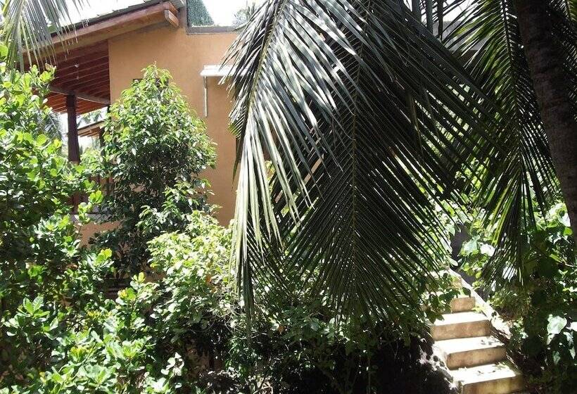 膳宿费 Lanka Eco Village