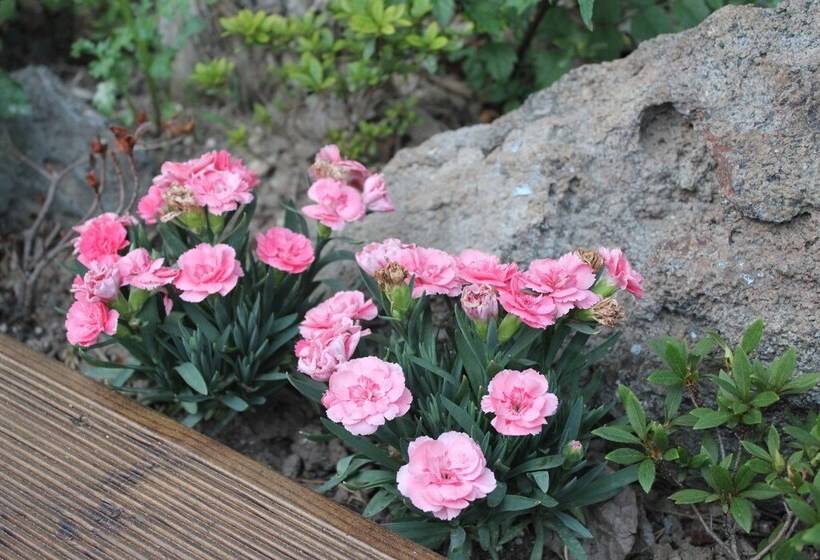 بنسيون With U Hotel & Guesthouse