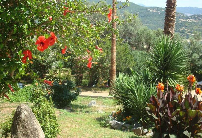 Résidence L Alivetu