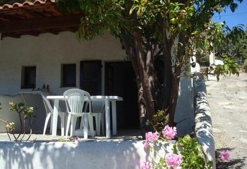 Résidence L Alivetu