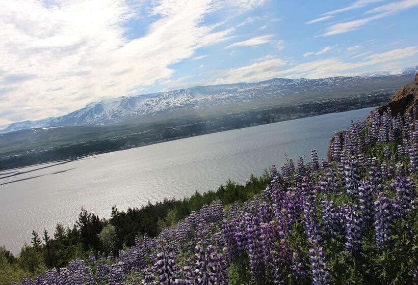 Viking Cottages & Apartments