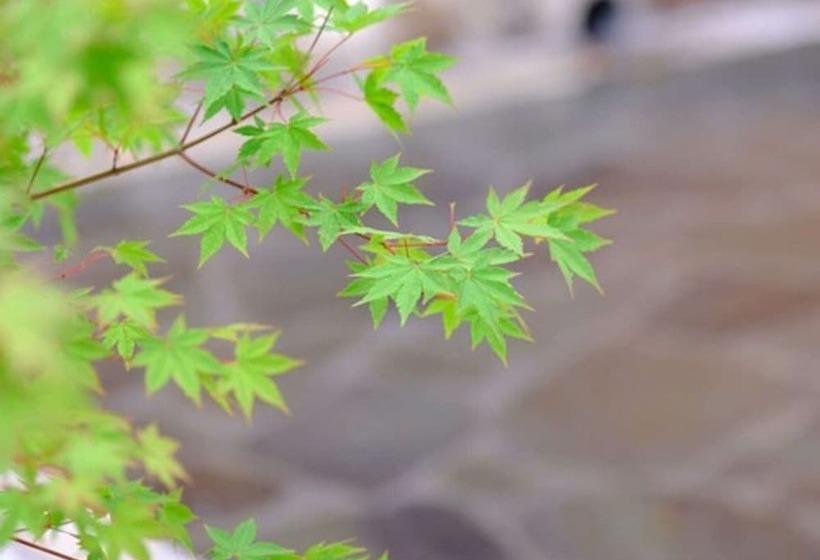 Yufuin Ryokan Seikoen
