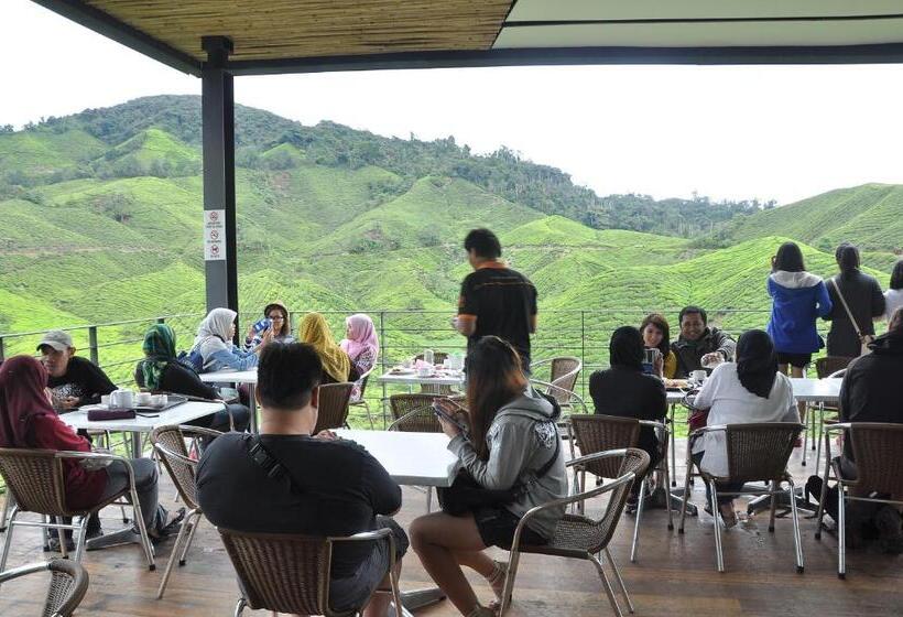 فندق صغير Orchid Haven