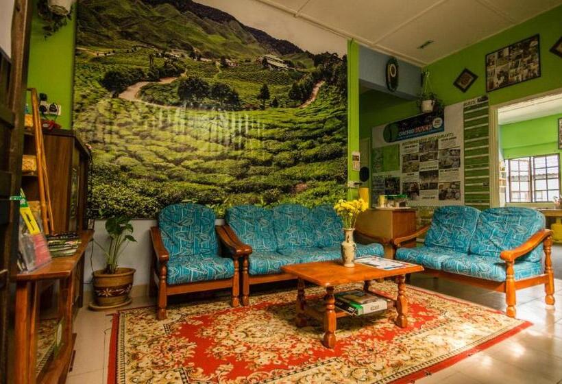 فندق صغير Orchid Haven