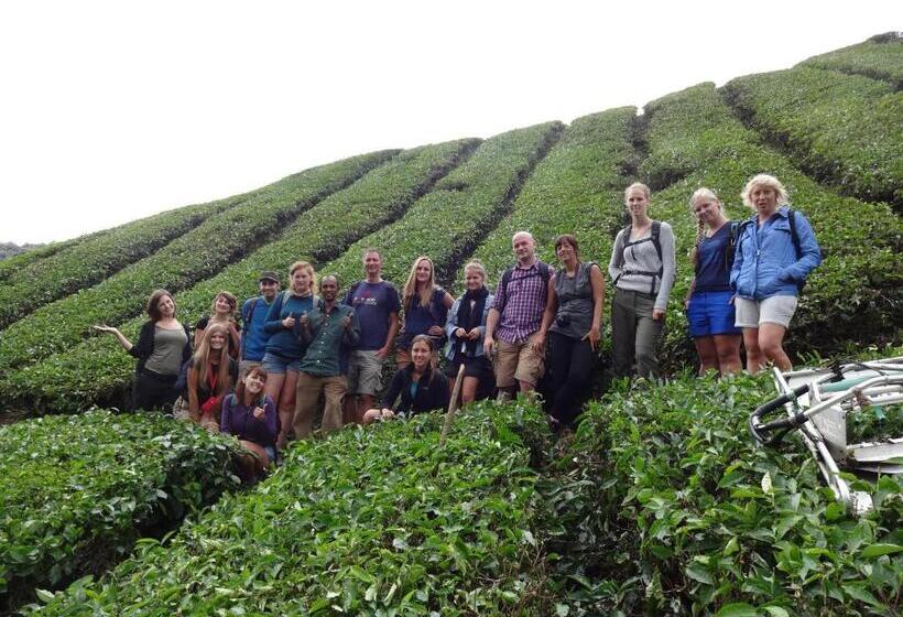 فندق صغير Orchid Haven