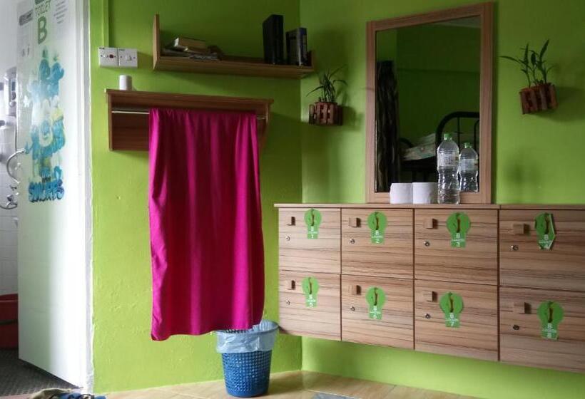 فندق صغير Orchid Haven