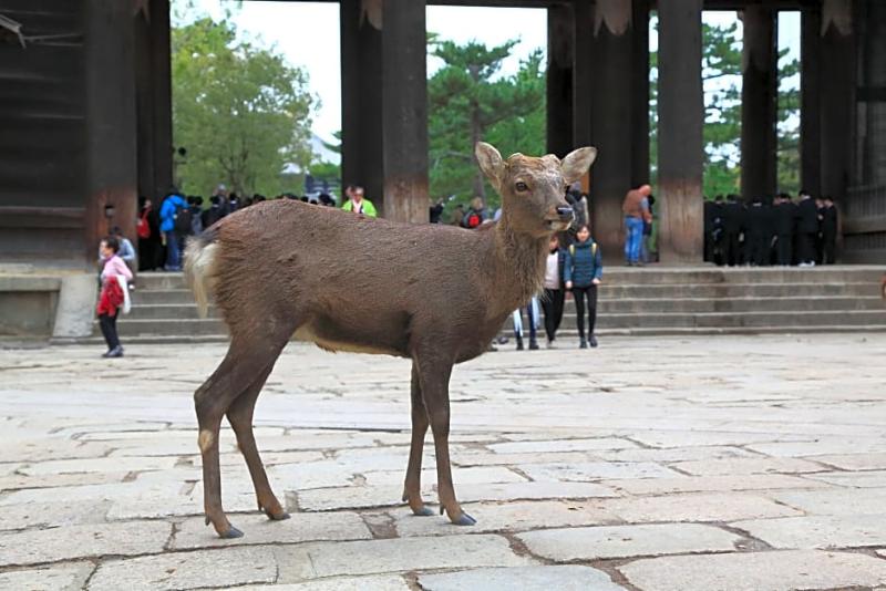 Bakery Hotel Château D Or   Hostel