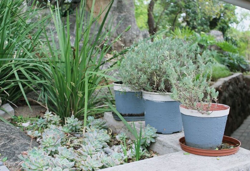 Bed and Breakfast Vineyard On The Hill Guest House