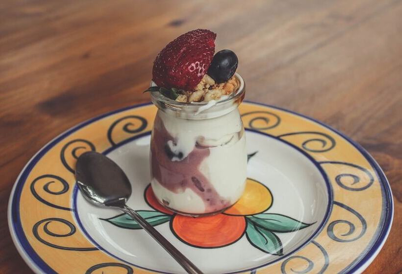 Bed and Breakfast Vineyard On The Hill Guest House