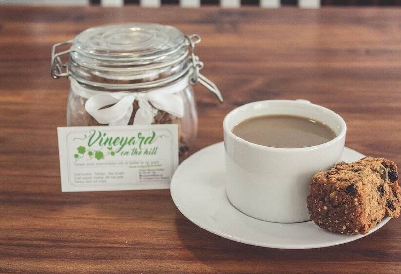 Bed and Breakfast Vineyard On The Hill Guest House