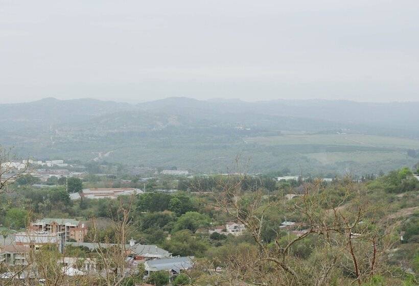 Bed and Breakfast Vineyard On The Hill Guest House