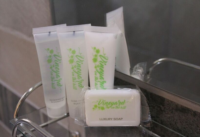 Bed and Breakfast Vineyard On The Hill Guest House