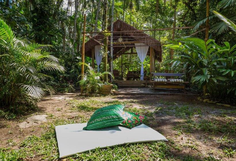 בית מלון כפרי Guest House Vivenda Da Mata