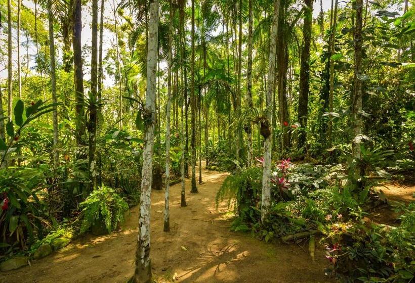 בית מלון כפרי Guest House Vivenda Da Mata