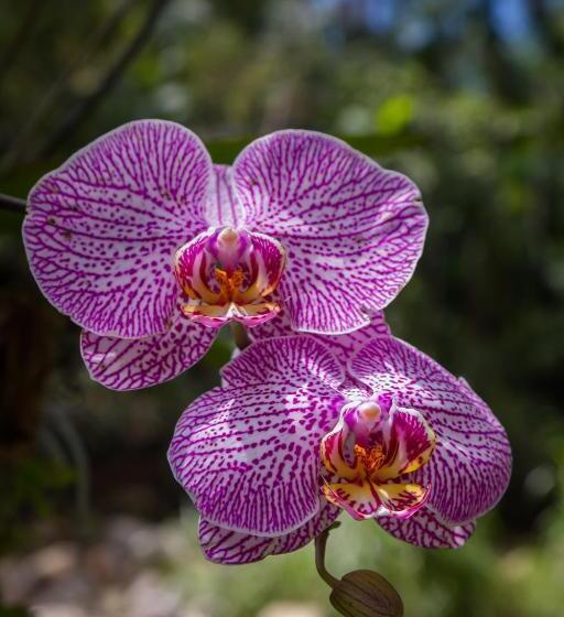 בית מלון כפרי Guest House Vivenda Da Mata