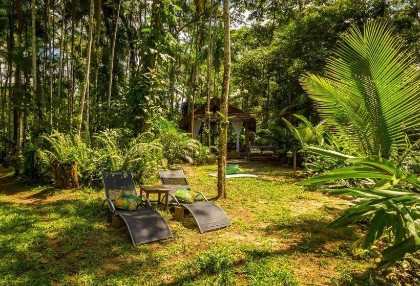 בית מלון כפרי Guest House Vivenda Da Mata