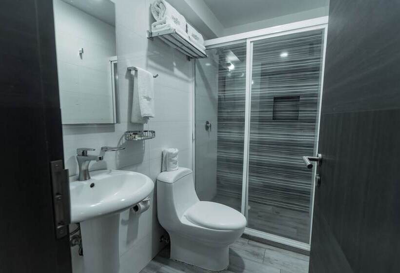 Отель Lemon Green Zona Expo Frente Al Centro De Convenciones