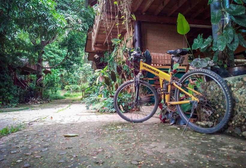 酒店 Misty View Guesthouse