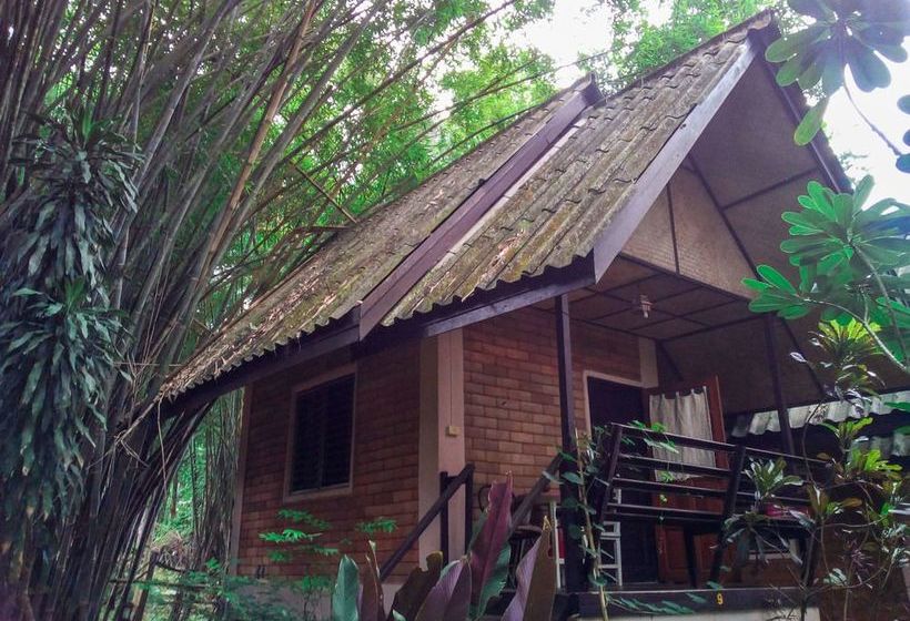 酒店 Misty View Guesthouse