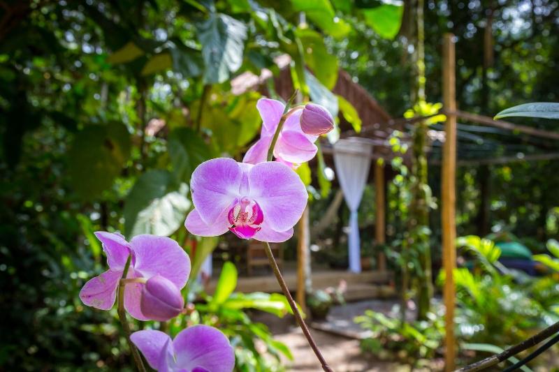 בית מלון כפרי Guest House Vivenda Da Mata