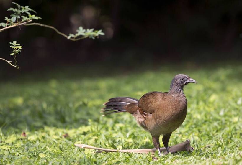 酒店 Rancho Cerro Azul