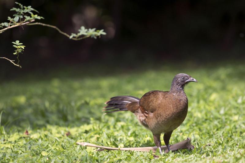 酒店 Rancho Cerro Azul