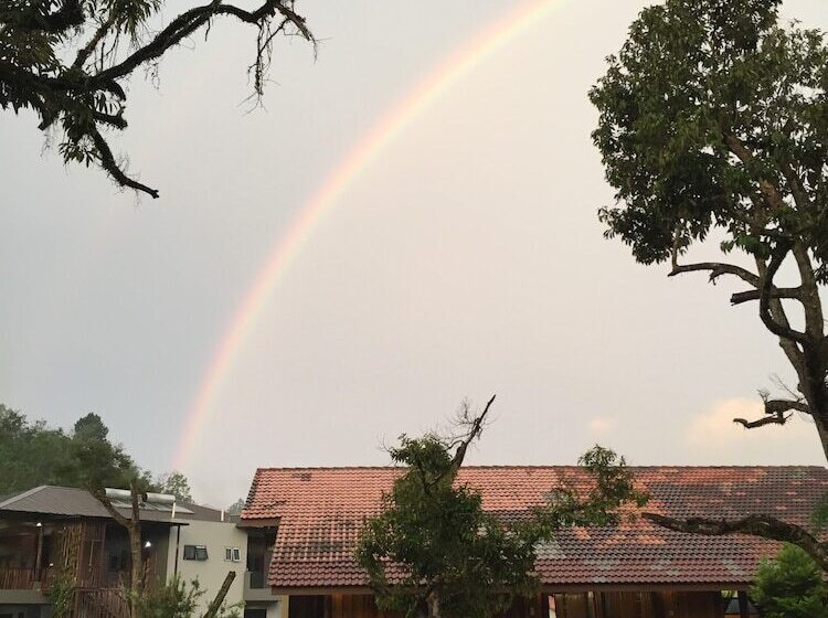 בית מלון כפרי The Acacia Retreat