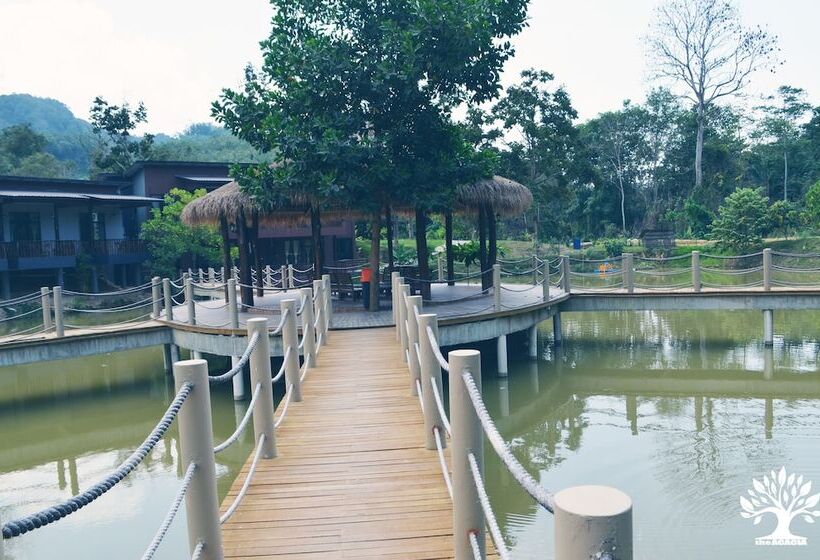 בית מלון כפרי The Acacia Retreat