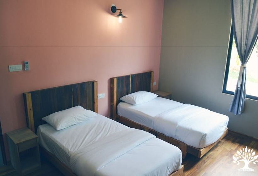 בית מלון כפרי The Acacia Retreat