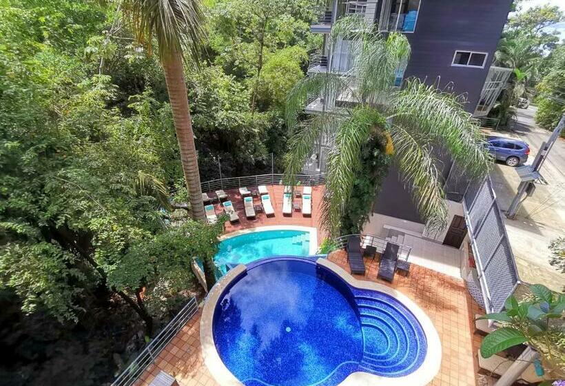 Jungle Vista Boutique