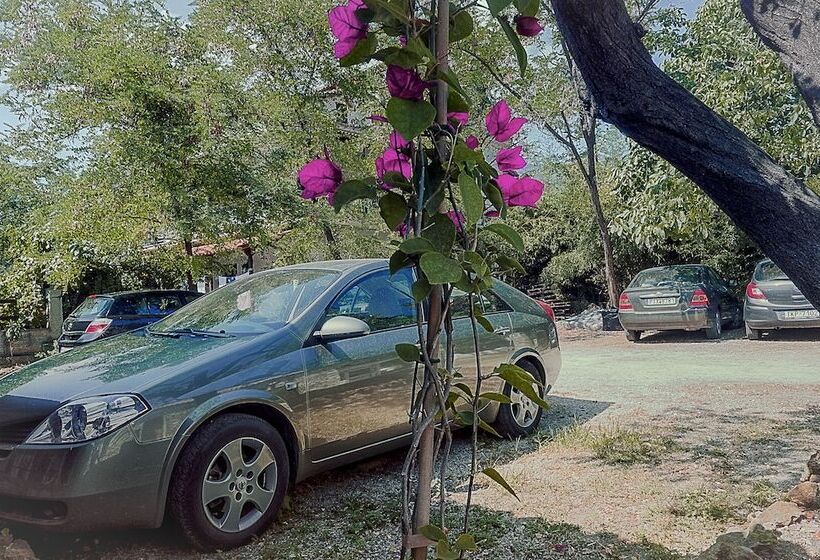 ペンション Skourgias Rooms