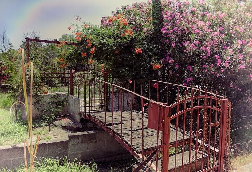 ペンション Skourgias Rooms