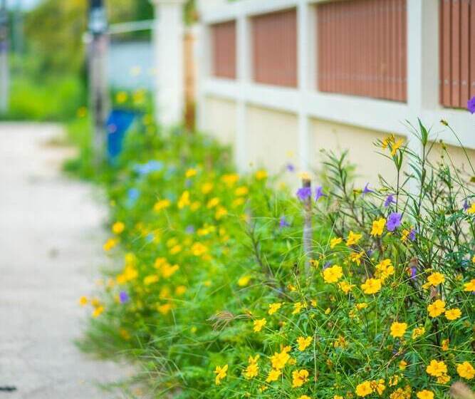 بنسيون Sweet Dreams