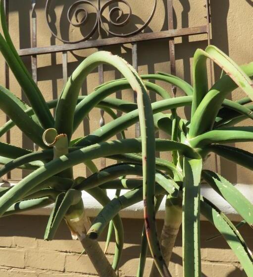 Пансион The Village In Hatfield