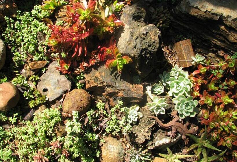 Пансион The Village In Hatfield