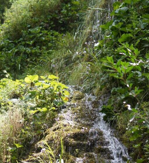 هاستل Swartberg Backpackers