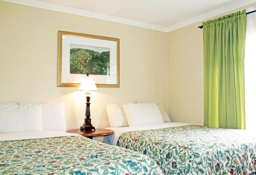 Aparthotel Serena Dream