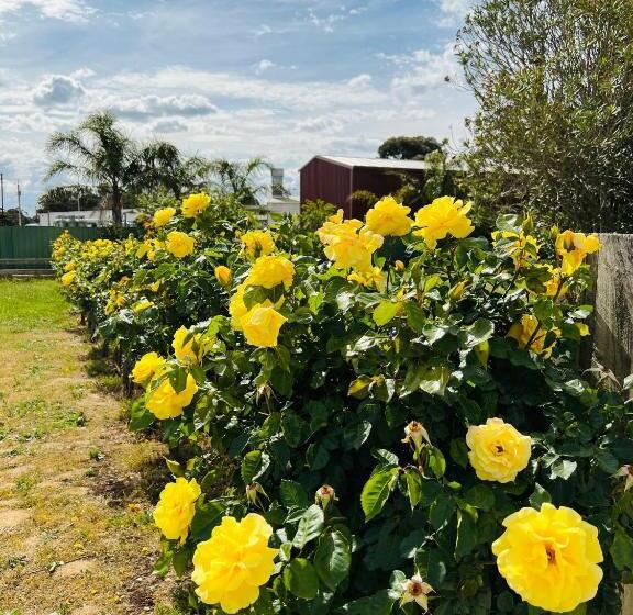 Barossa Gateway Motel