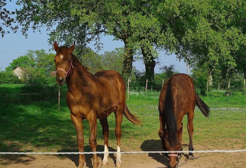 مبيت وإفطار Manoir Des Forges