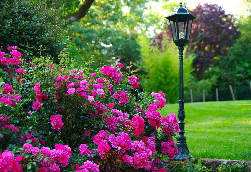 مبيت وإفطار Manoir Des Forges