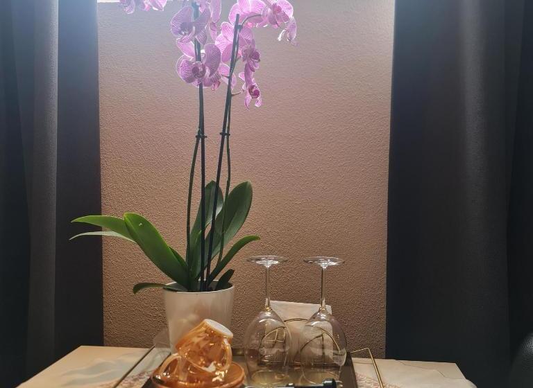 تختخواب و صبحانه Crown Guesthouse Amsterdam