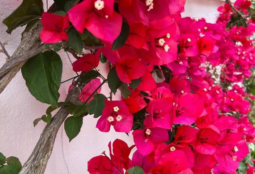 فندق فئة نجمة واحدة Victoria Place