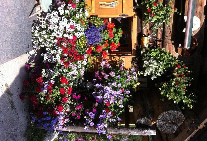 هتل Andrea Schmaranzer   Privatzimmer