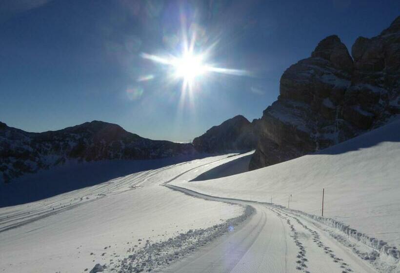 هتل Andrea Schmaranzer   Privatzimmer