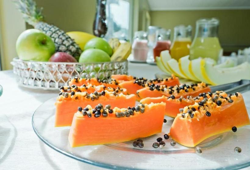 בית מלון כפרי Chapeco Center