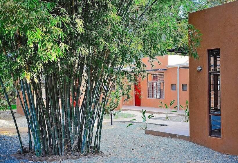 Отель Green Hills Of Africa